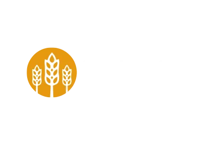 City Harvest Network_color