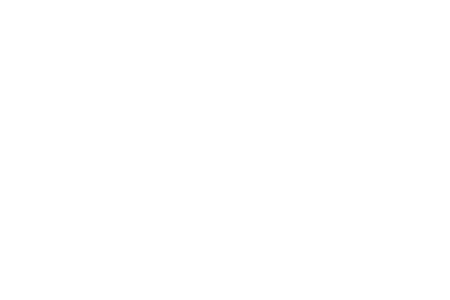 Courage to Lead_white